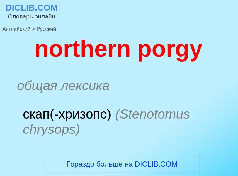 Как переводится northern porgy на Русский язык