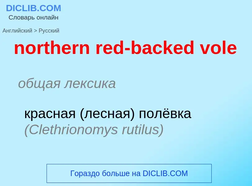 ¿Cómo se dice northern red-backed vole en Ruso? Traducción de &#39northern red-backed vole&#39 al Ru