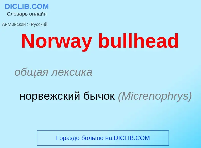 Übersetzung von &#39Norway bullhead&#39 in Russisch