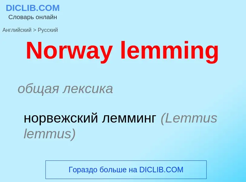 Traduzione di &#39Norway lemming&#39 in Russo