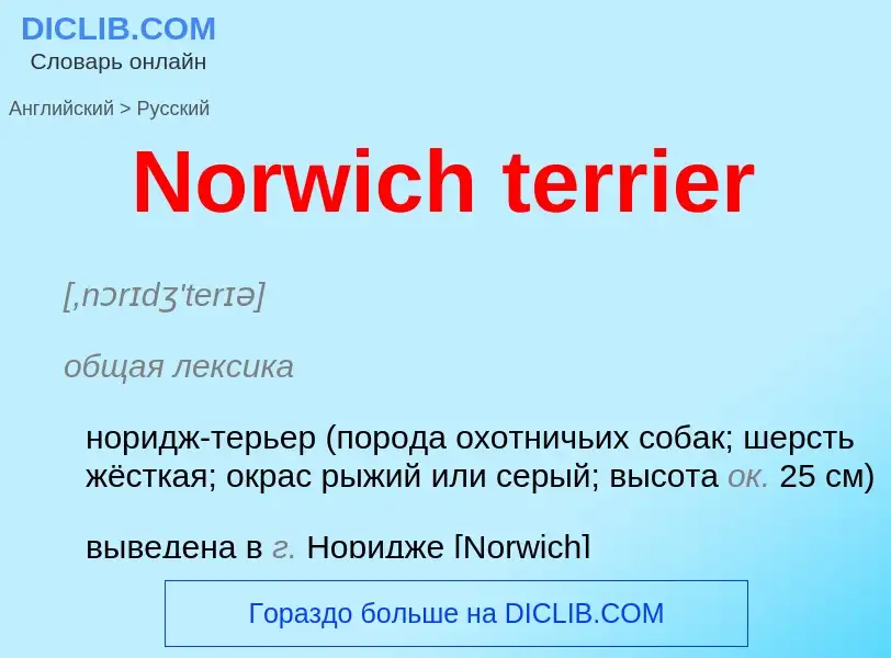 Übersetzung von &#39Norwich terrier&#39 in Russisch