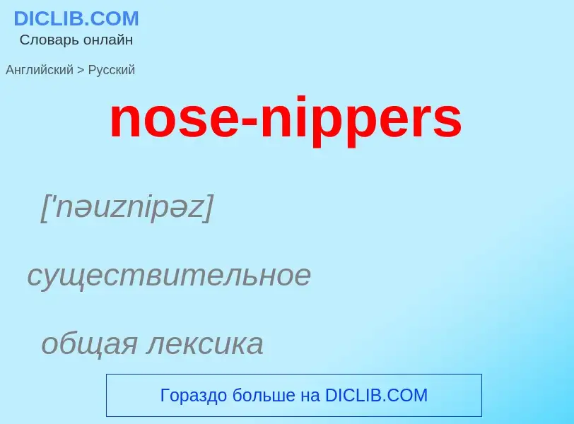 What is the Russian for nose-nippers? Translation of &#39nose-nippers&#39 to Russian