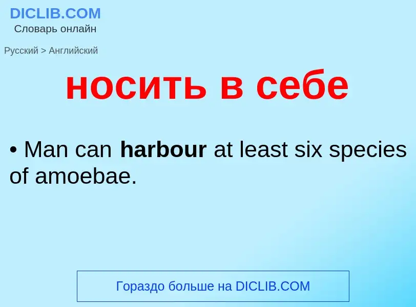 Как переводится носить в себе на Английский язык