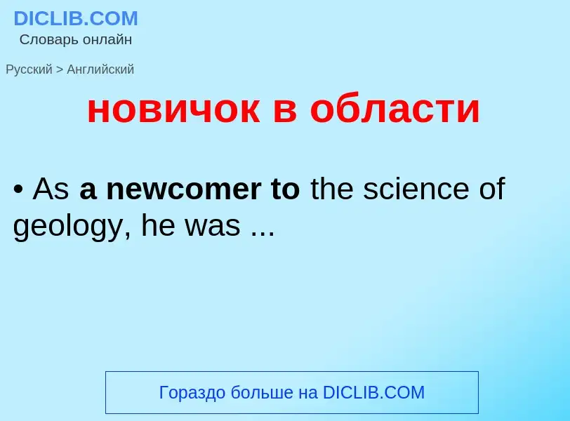 Как переводится новичок в области на Английский язык