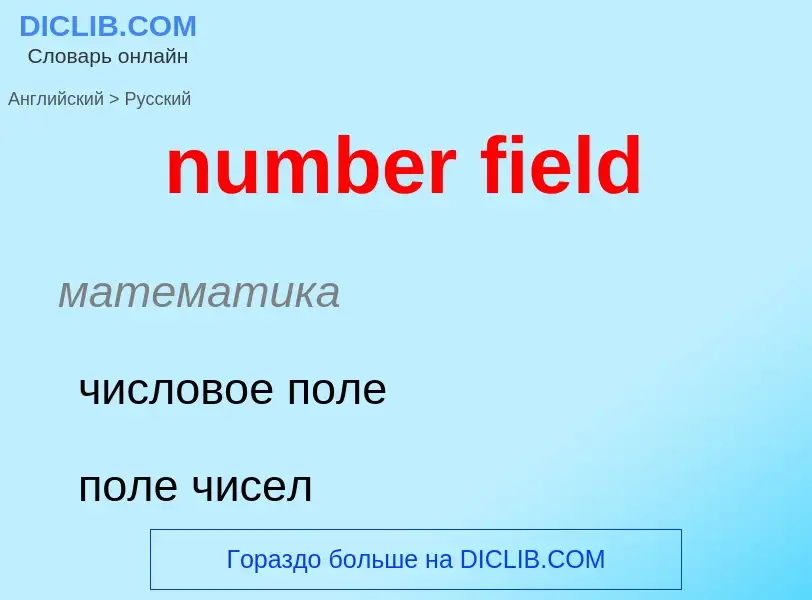 Как переводится number field на Русский язык