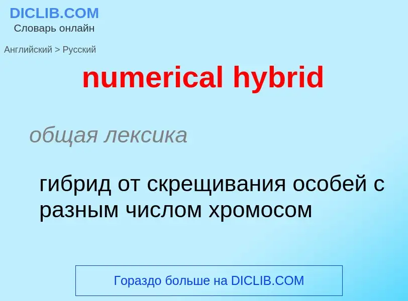 What is the الروسية for numerical hybrid? Translation of &#39numerical hybrid&#39 to الروسية