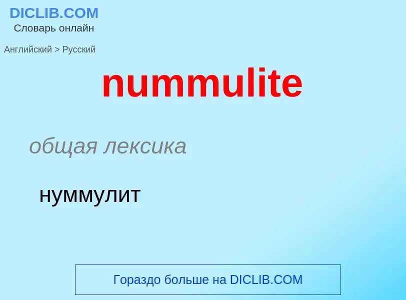 Μετάφραση του &#39nummulite&#39 σε Ρωσικά