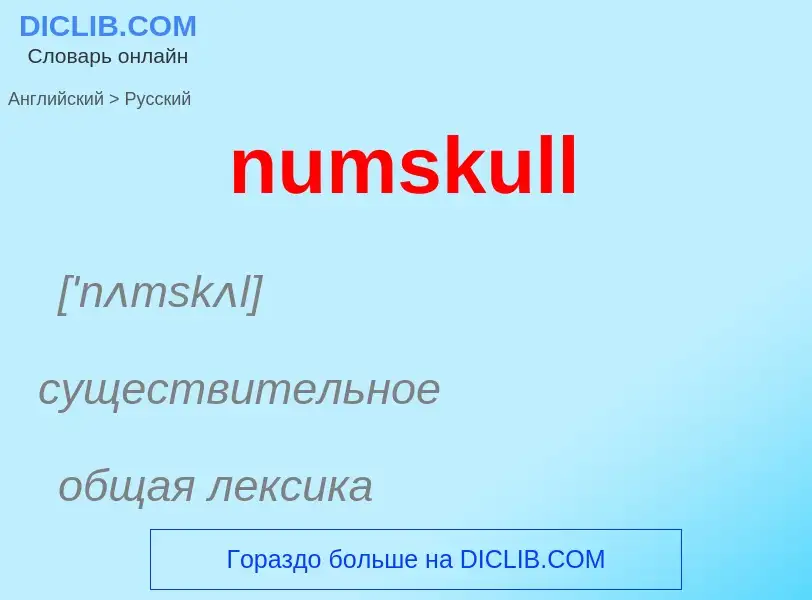 What is the الروسية for numskull? Translation of &#39numskull&#39 to الروسية