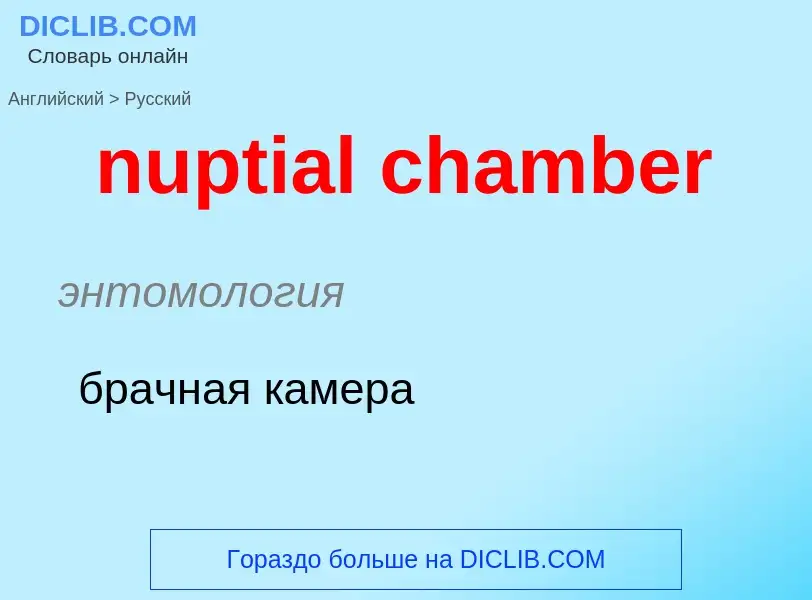 Μετάφραση του &#39nuptial chamber&#39 σε Ρωσικά