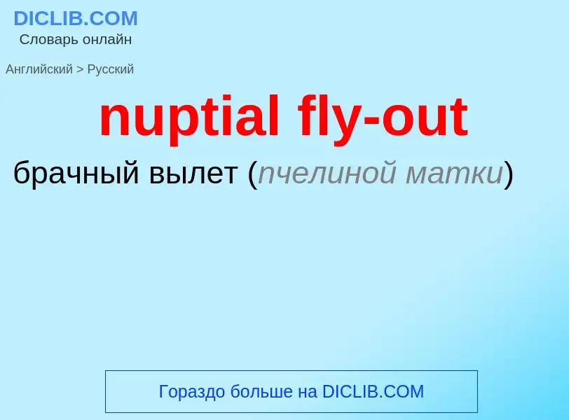 Vertaling van &#39nuptial fly-out&#39 naar Russisch