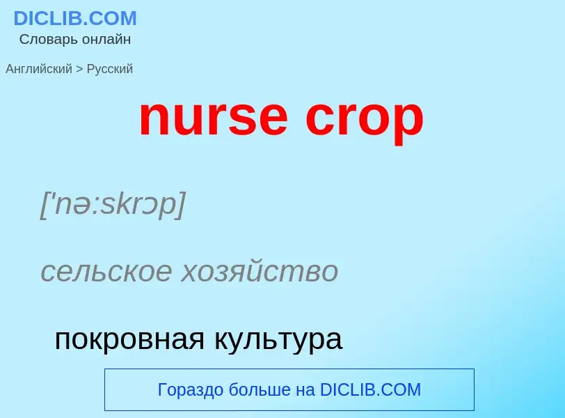 Vertaling van &#39nurse crop&#39 naar Russisch