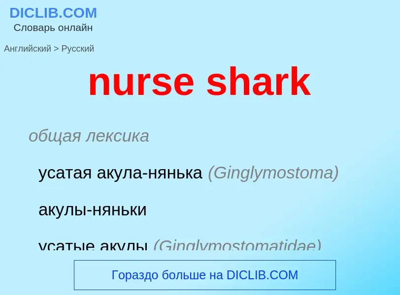 Vertaling van &#39nurse shark&#39 naar Russisch