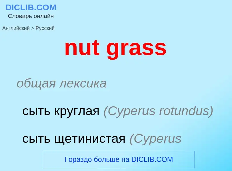 Vertaling van &#39nut grass&#39 naar Russisch