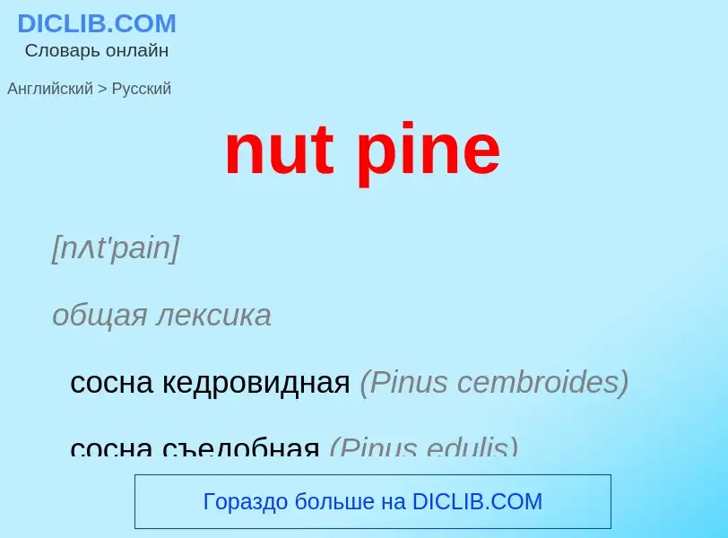 Как переводится nut pine на Русский язык