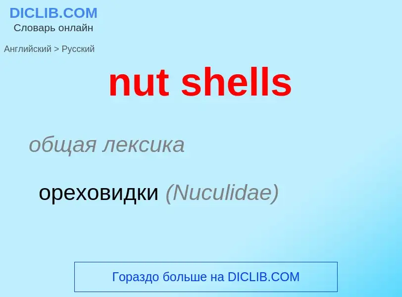 Как переводится nut shells на Русский язык