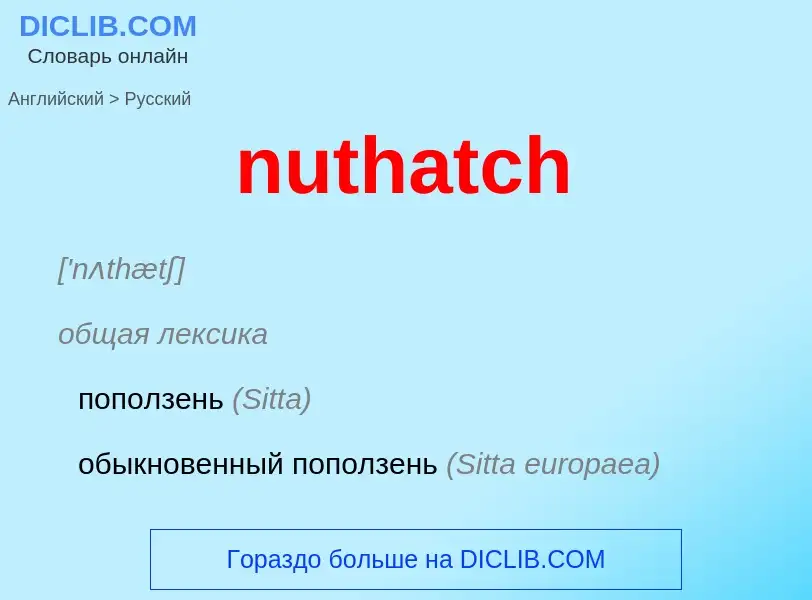 Как переводится nuthatch на Русский язык