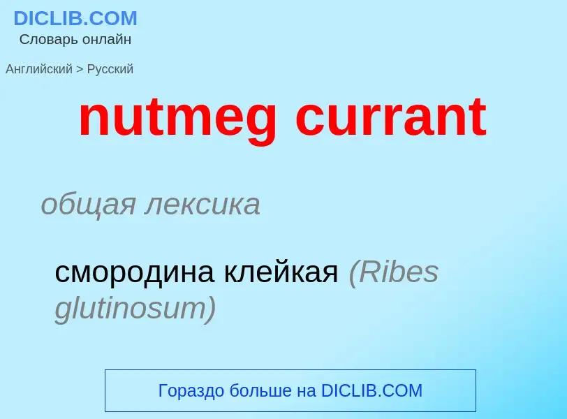 Как переводится nutmeg currant на Русский язык