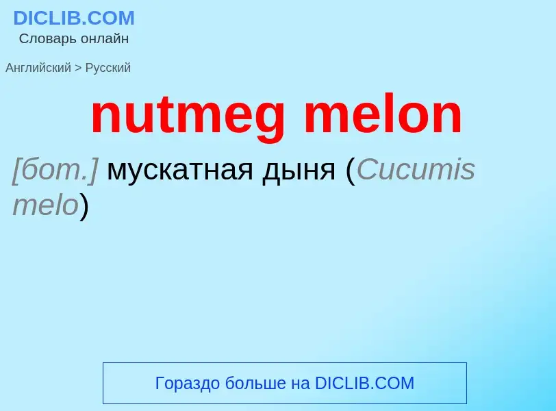 Как переводится nutmeg melon на Русский язык