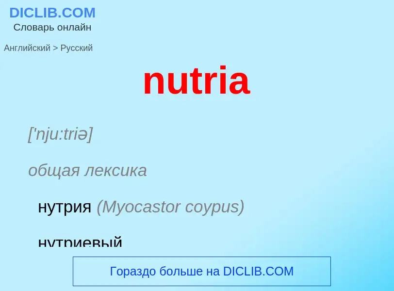 Vertaling van &#39nutria&#39 naar Russisch