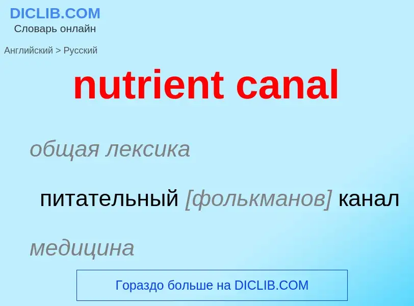 Vertaling van &#39nutrient canal&#39 naar Russisch