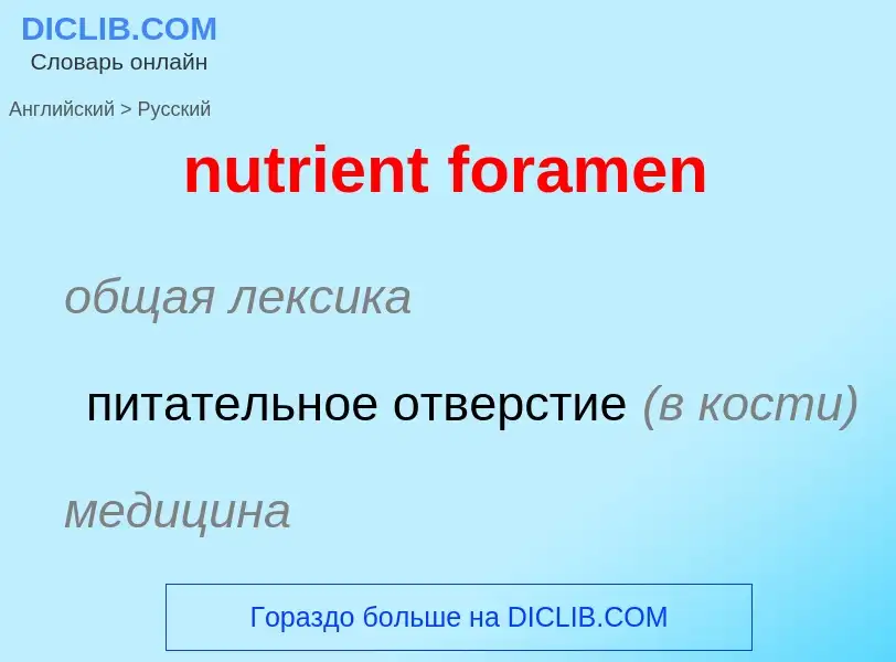 Vertaling van &#39nutrient foramen&#39 naar Russisch