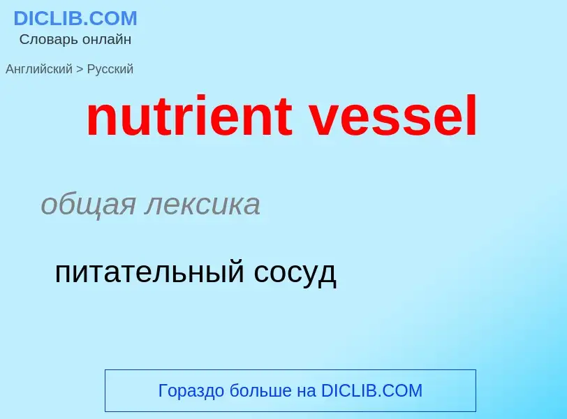 Μετάφραση του &#39nutrient vessel&#39 σε Ρωσικά