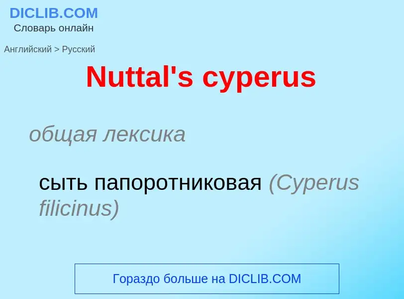 What is the Russian for Nuttal's cyperus? Translation of &#39Nuttal's cyperus&#39 to Russian