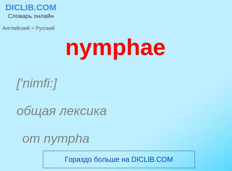 What is the Russian for nymphae? Translation of &#39nymphae&#39 to Russian