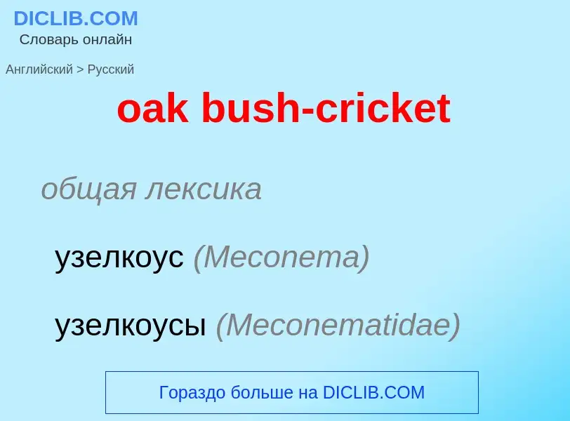 Как переводится oak bush-cricket на Русский язык