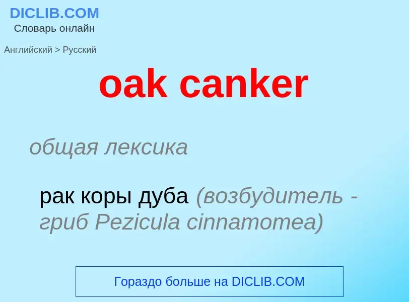 ¿Cómo se dice oak canker en Ruso? Traducción de &#39oak canker&#39 al Ruso