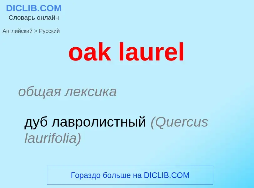 Как переводится oak laurel на Русский язык