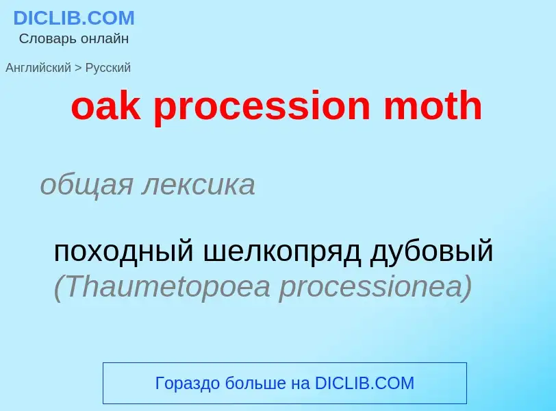 Как переводится oak procession moth на Русский язык