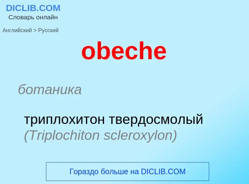 Как переводится obeche на Русский язык