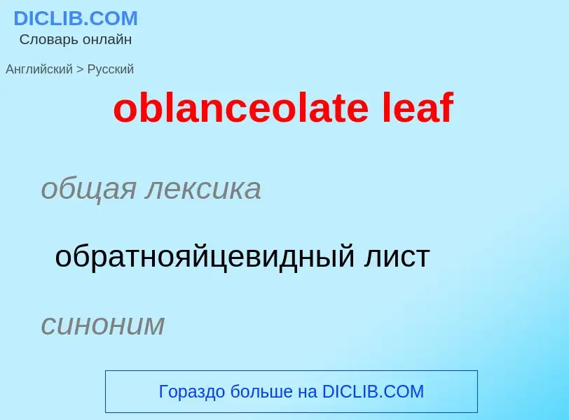 Как переводится oblanceolate leaf на Русский язык