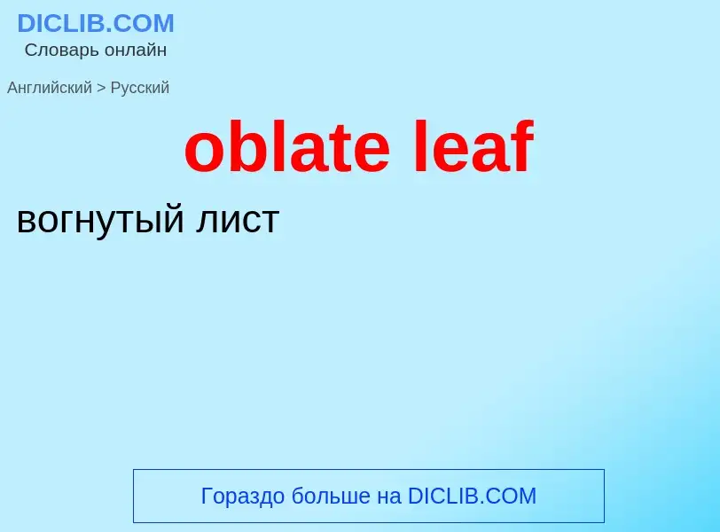 Как переводится oblate leaf на Русский язык