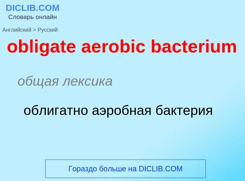 Как переводится obligate aerobic bacterium на Русский язык