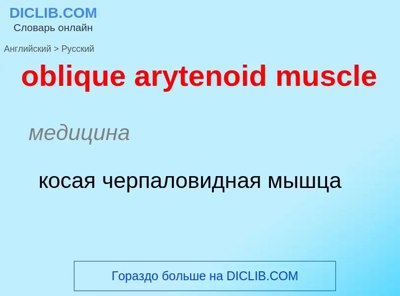 Как переводится oblique arytenoid muscle на Русский язык