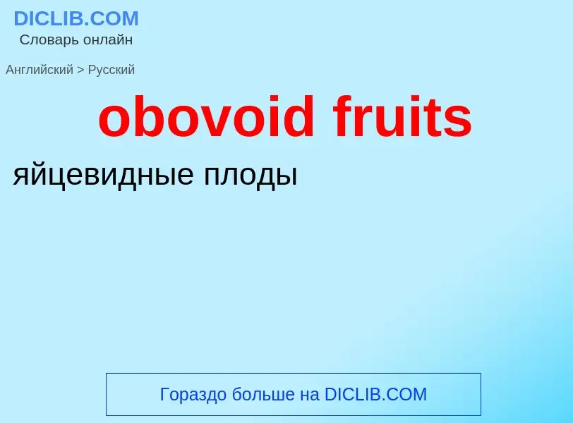 Как переводится obovoid fruits на Русский язык