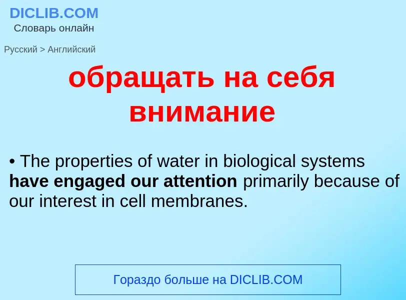 Как переводится обращать на себя внимание на Английский язык