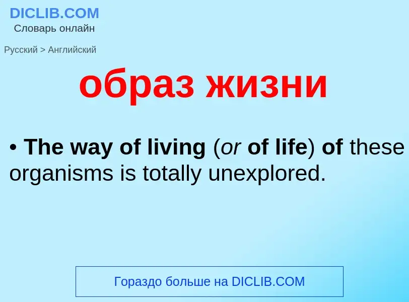 Como se diz образ жизни em Inglês? Tradução de &#39образ жизни&#39 em Inglês