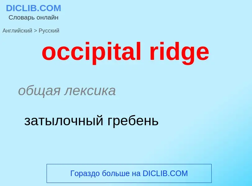 Как переводится occipital ridge на Русский язык