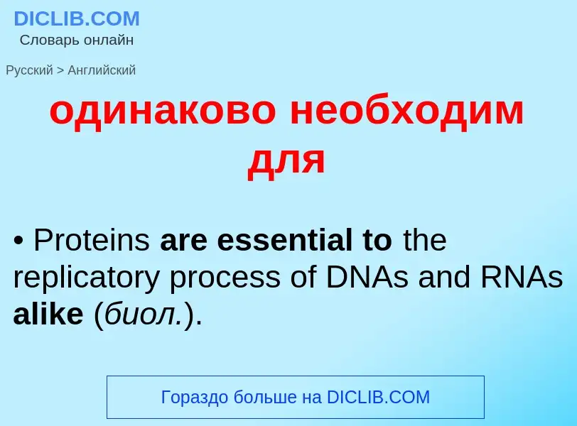Μετάφραση του &#39одинаково необходим для&#39 σε Αγγλικά