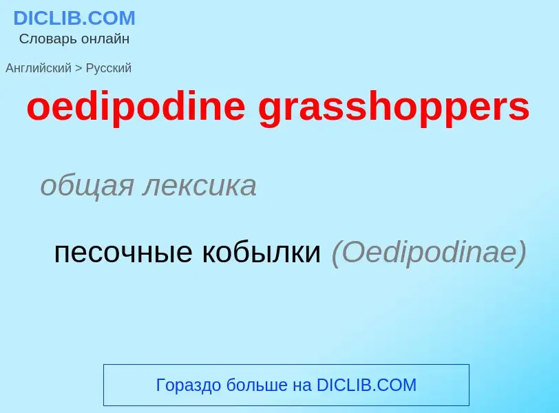 Как переводится oedipodine grasshoppers на Русский язык