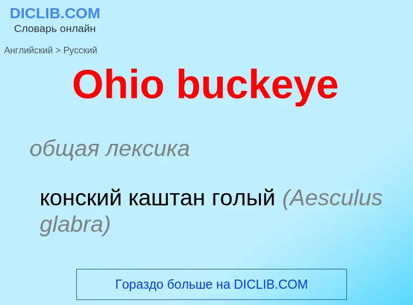 Как переводится Ohio buckeye на Русский язык