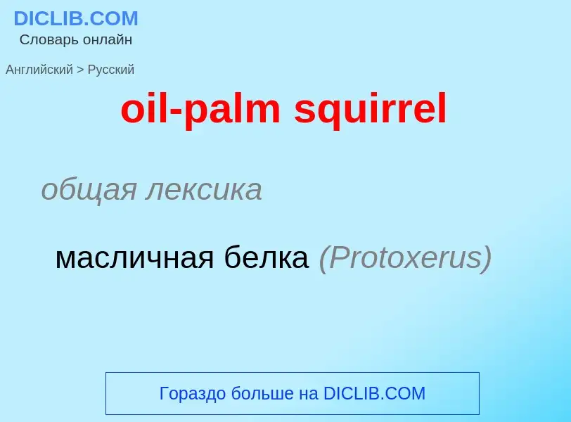 What is the Russian for oil-palm squirrel? Translation of &#39oil-palm squirrel&#39 to Russian