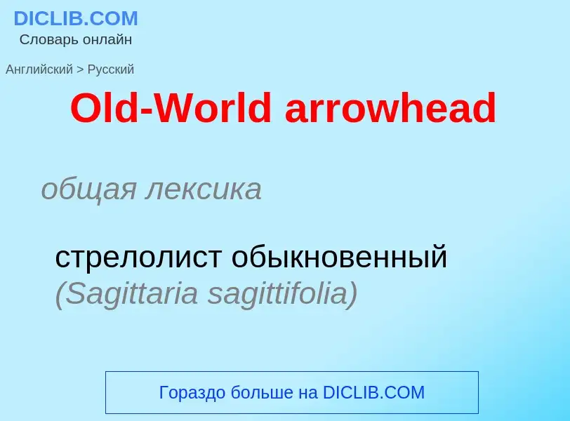 Μετάφραση του &#39Old-World arrowhead&#39 σε Ρωσικά