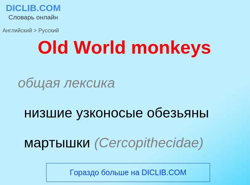 Как переводится Old World monkeys на Русский язык