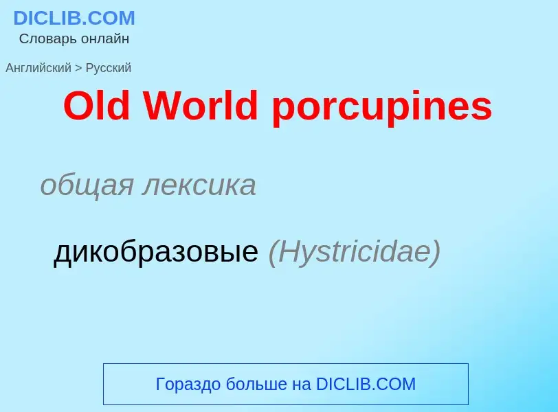 Как переводится Old World porcupines на Русский язык