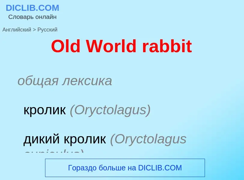 Как переводится Old World rabbit на Русский язык