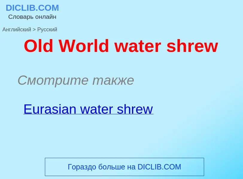 Как переводится Old World water shrew на Русский язык